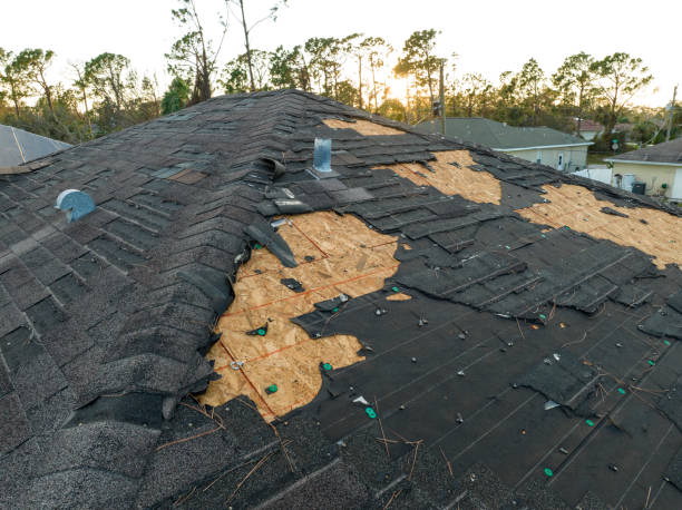 Reliable Volo, IL  Roofing repair and installation Solutions